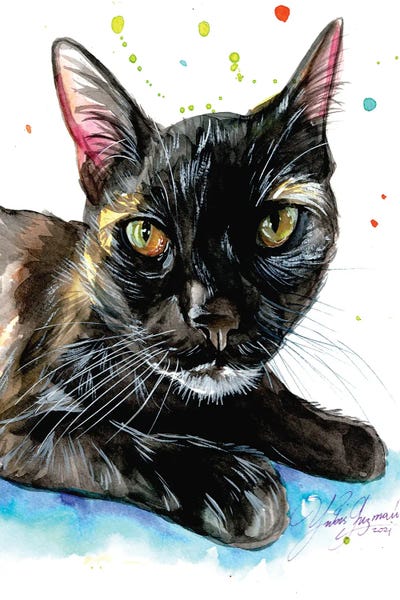 Black cat, brillant ayes by Yubis Guzman framed wall art
