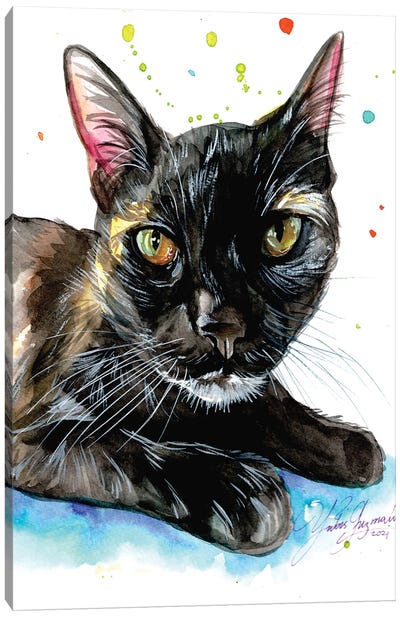 Black cat, brillant ayes Canvas Art Print - Yubis Guzman