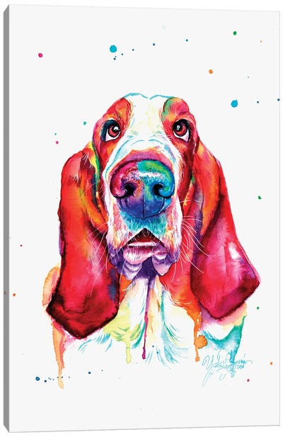 Colorful Basset Hound I Canvas Art Print - Yubis Guzman