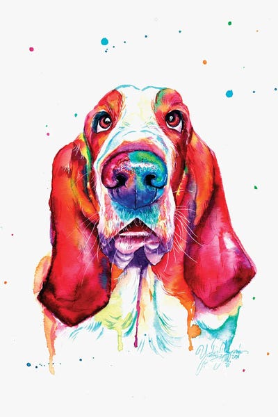 Basset Hounds: Colorful Basset Hound I by Yubis Guzman