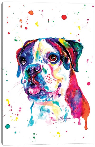 Colorful Boxer I Canvas Art Print - Yubis Guzman