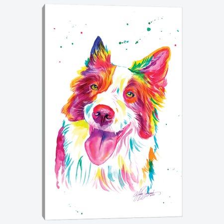 Colorful Collies Dog Canvas Print #YGM83} by Yubis Guzman Canvas Wall Art