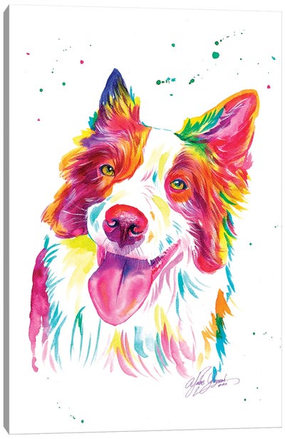 Colorful Collies Dog Canvas Art Print - Yubis Guzman
