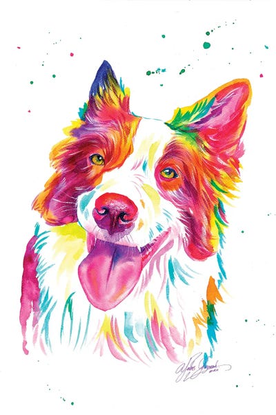 Collies: Colorful Collies Dog by Yubis Guzman