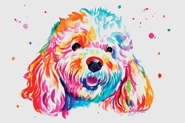 Poodles: Colorful Poodle II by Yubis Guzman