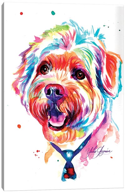 Colorful Poodle III Canvas Art Print - Yubis Guzman