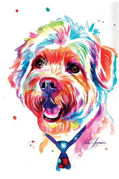 Poodles: Colorful Poodle III by Yubis Guzman