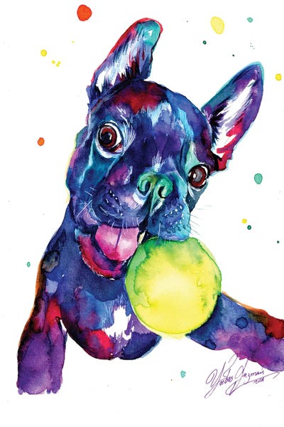 Puppies: French Bulldog Puppy Playing by Yubis Guzman