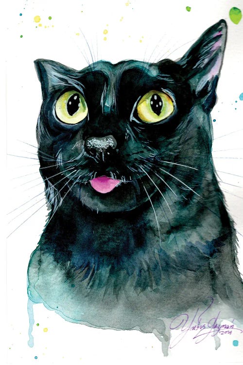 Gato Negro Ojos Brillantes