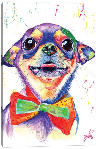 Colorful Chihuahua Canvas Art Print - Yubis Guzman