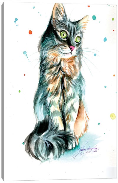 Grey Cat Beauty Canvas Art Print