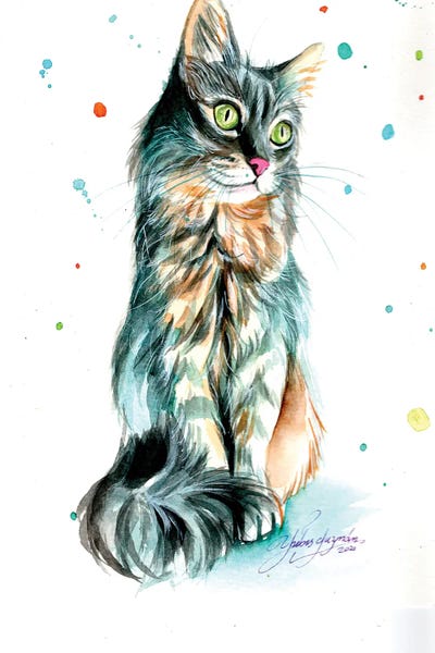 Yubis Guzman: Grey Cat Beauty by Yubis Guzman
