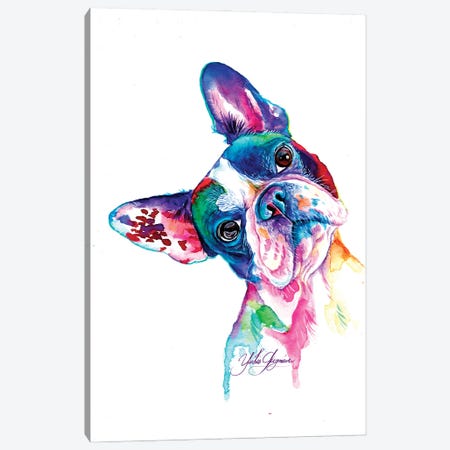 Multicolor French Bulldog Canvas Print #YGM93} by Yubis Guzman Art Print