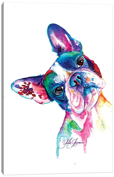 Multicolor French Bulldog Canvas Art Print - French Bulldog Art