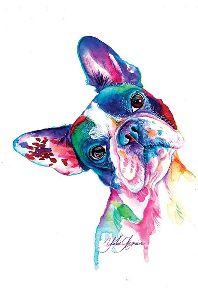 French Bulldogs: Multicolor French Bulldog by Yubis Guzman