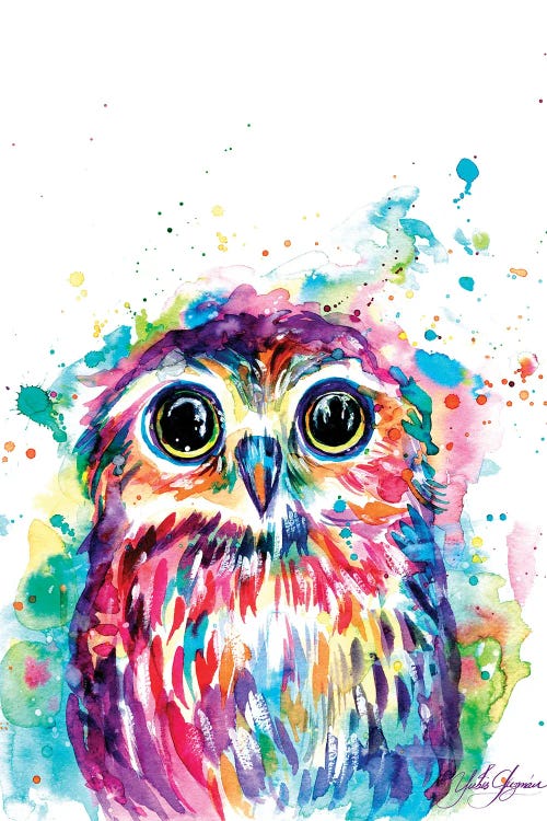 Owl With Watercolor