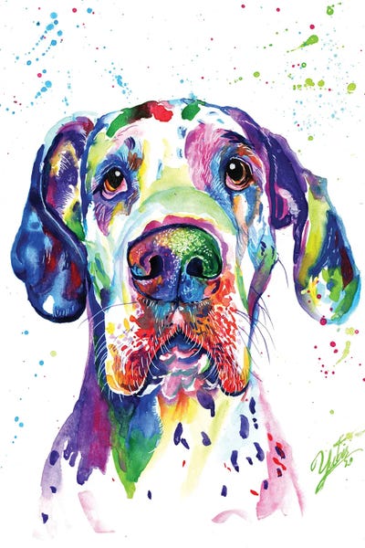 Dogs: Colorful Great Dane by Yubis Guzman