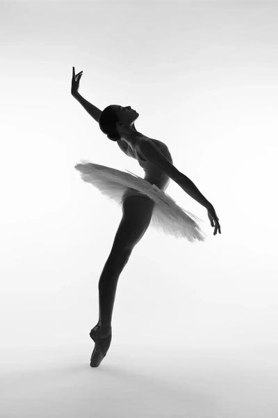 Poetry In Motion: Esprit XII by Yevgeniy Repiashenko