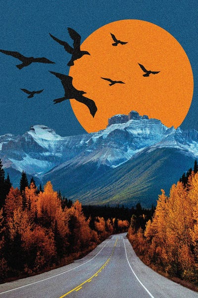 Mountain Sunrises & Sunsets: Autumn by Yegor Zhuldybin