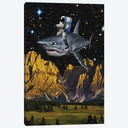 Space Rodeo Canvas Print #YGZ111} by Yegor Zhuldybin Canvas Print
