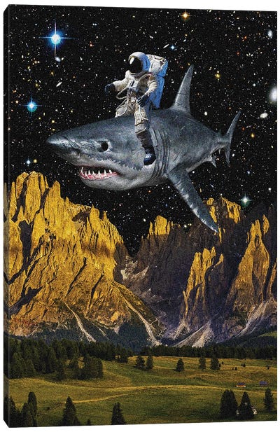 Space Rodeo Canvas Art Print - Shark Art