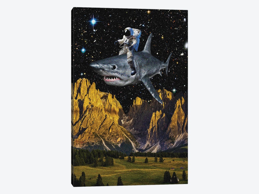 Space Rodeo by Yegor Zhuldybin 1-piece Canvas Art