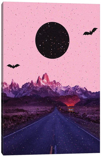 Bats Den Canvas Art Print - Yegor Zhuldybin