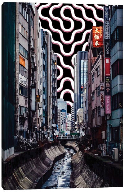 The Course Of Life Canvas Art Print - Tokyo Art