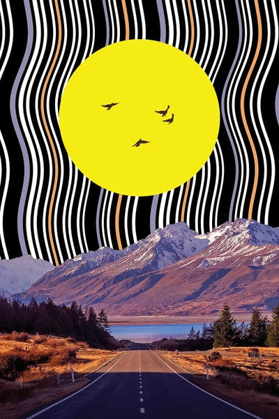 Bird Pirouettes by Yegor Zhuldybin art print