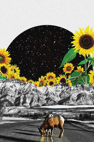 Rams: Yummy by Yegor Zhuldybin