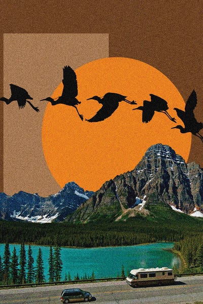 Yegor Zhuldybin: Cranes by Yegor Zhuldybin