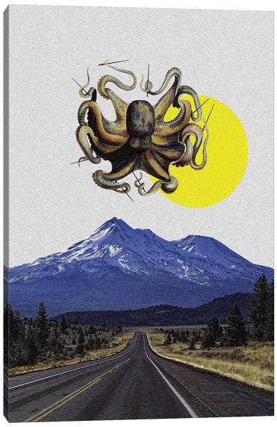 Flight Of An Octopus Canvas Art Print - Yegor Zhuldybin