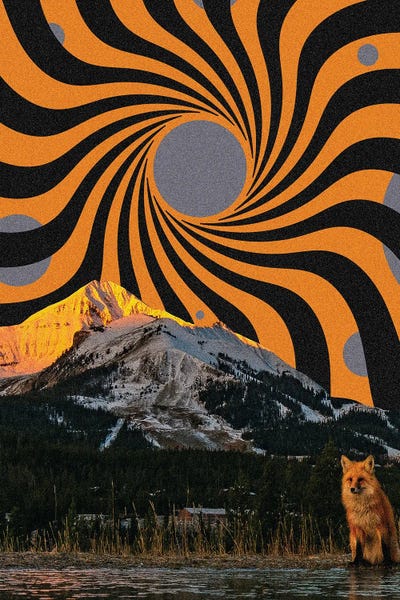 Fox Fox Fox by Yegor Zhuldybin art print