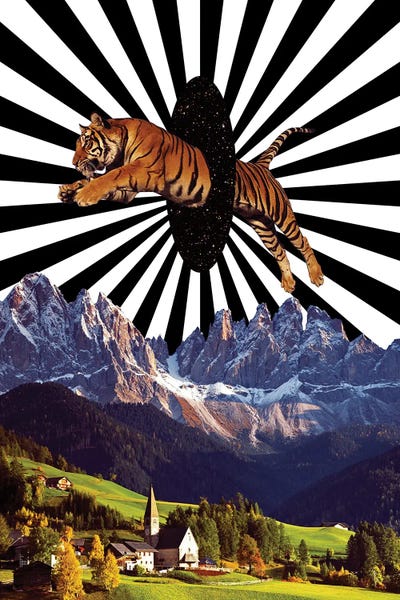 Graceful Leap Through The Portal by Yegor Zhuldybin art print