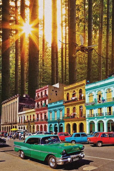 Cuba: Hidden Forest City by Yegor Zhuldybin