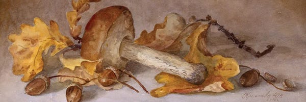 Yulia Krasnov: Birch Bolete And Acorns by Yulia Krasnov