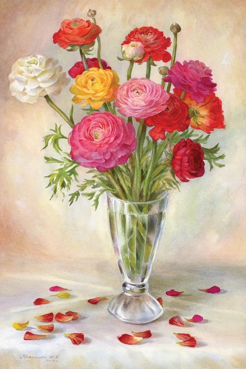 Multicolored Ranunculus by Yulia Krasnov wall art