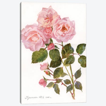 Garden Roses Canvas Print #YKV13} by Yulia Krasnov Canvas Art