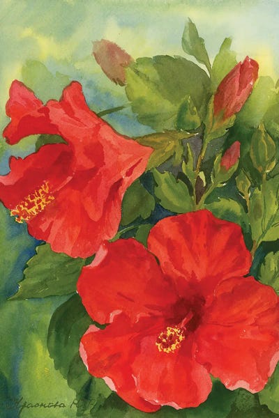 Hibiscus by Yulia Krasnov art print