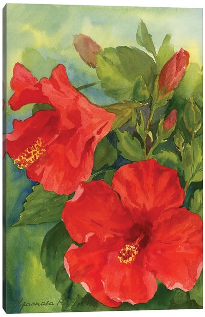 Hibiscus Canvas Art Print - Hibiscus Art