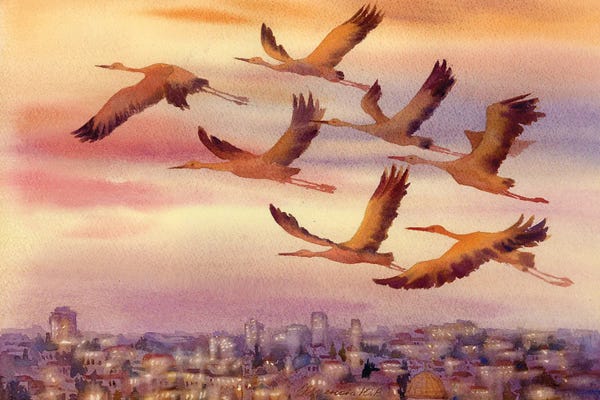 Yulia Krasnov: Let's Fly Home by Yulia Krasnov