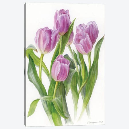 Lilac Tulips Canvas Print #YKV18} by Yulia Krasnov Canvas Wall Art