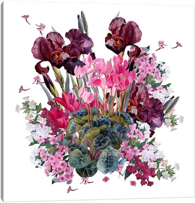 Composition With Irises And Cyclamens Canvas Art Print - Botanical Illustrations