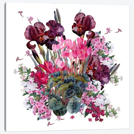 Composition With Irises And Cyclamens Canvas Print #YKV1} by Yulia Krasnov Canvas Artwork