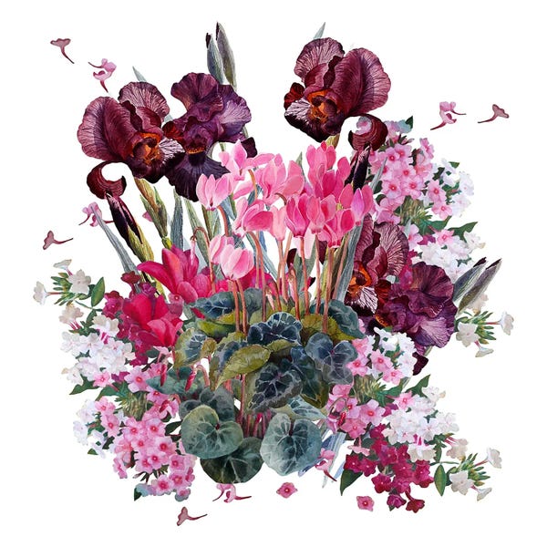 Irises: Composition With Irises And Cyclamens by Yulia Krasnov