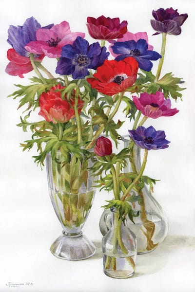 Yulia Krasnov: Multicolored Anemones by Yulia Krasnov