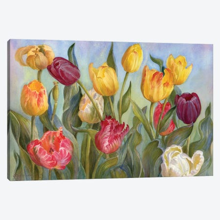 Multicolored Tulips Canvas Print #YKV25} by Yulia Krasnov Canvas Artwork