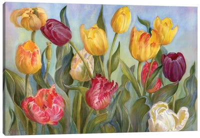 Multicolored Tulips Canvas Art Print - Yulia Krasnov