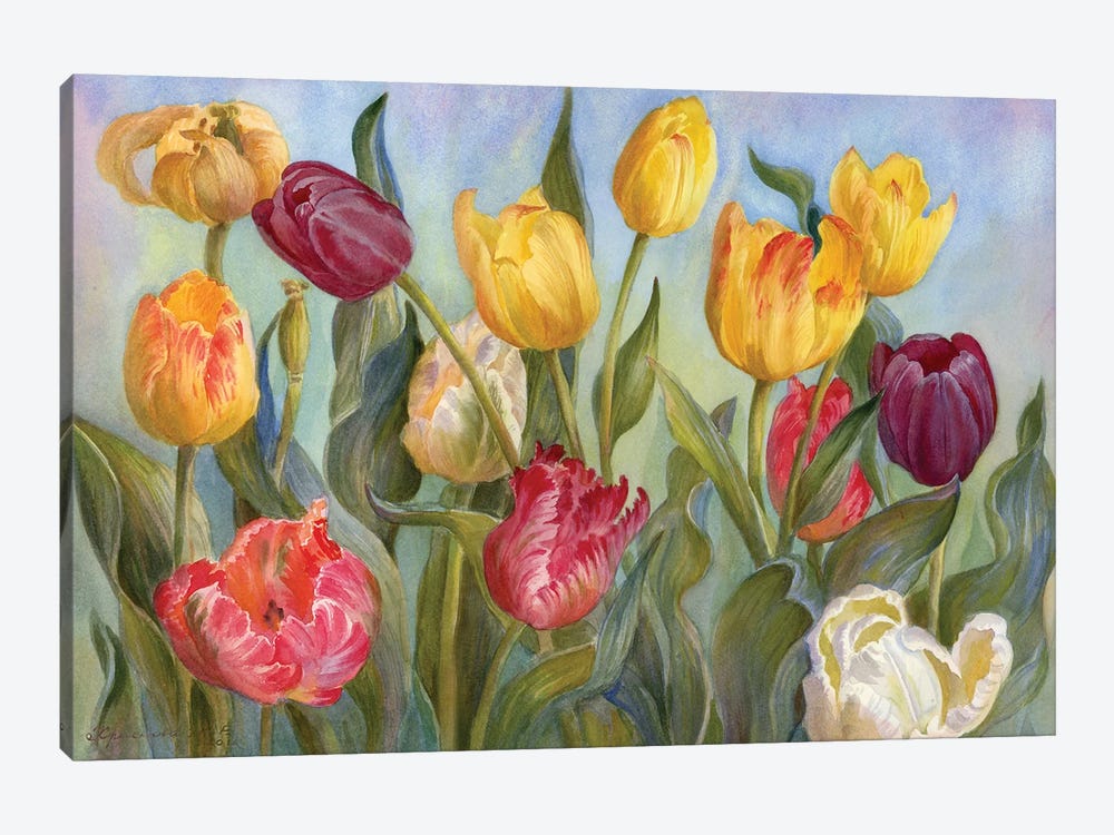 Multicolored Tulips by Yulia Krasnov 1-piece Canvas Print