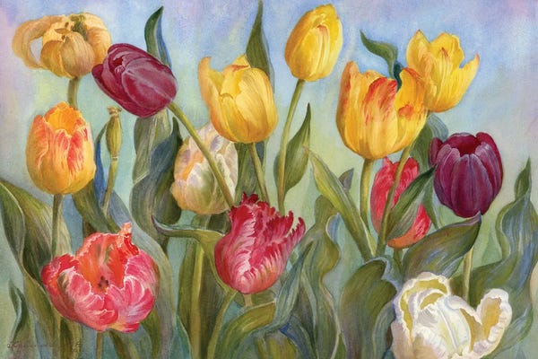 Watercolor Flowers: Multicolored Tulips by Yulia Krasnov